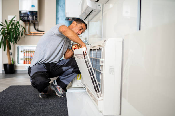 Best Home Air Vent Cleaning  in Renville, MN