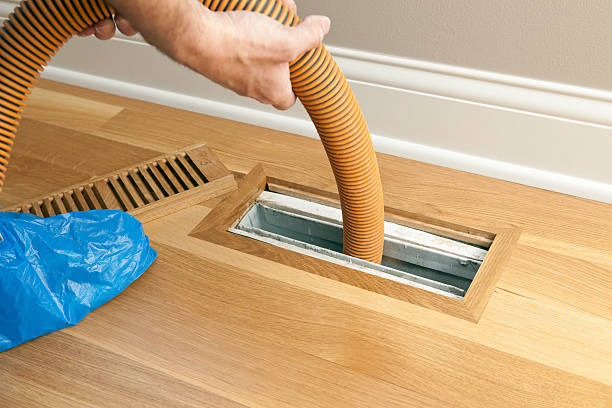 Best Local Air Duct Cleaning Services  in Renville, MN