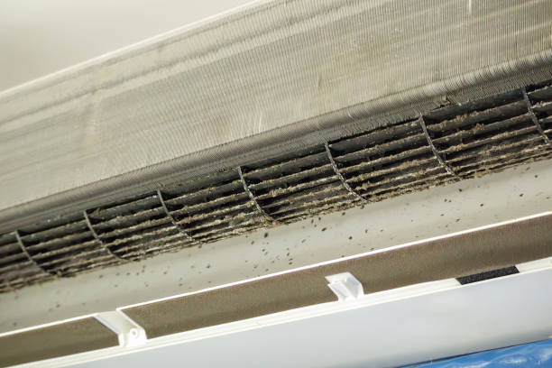 Best Ventilation Cleaning Services  in Renville, MN